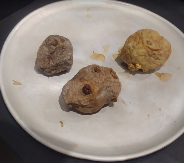 Three rotten potatoes on an aluminum plate