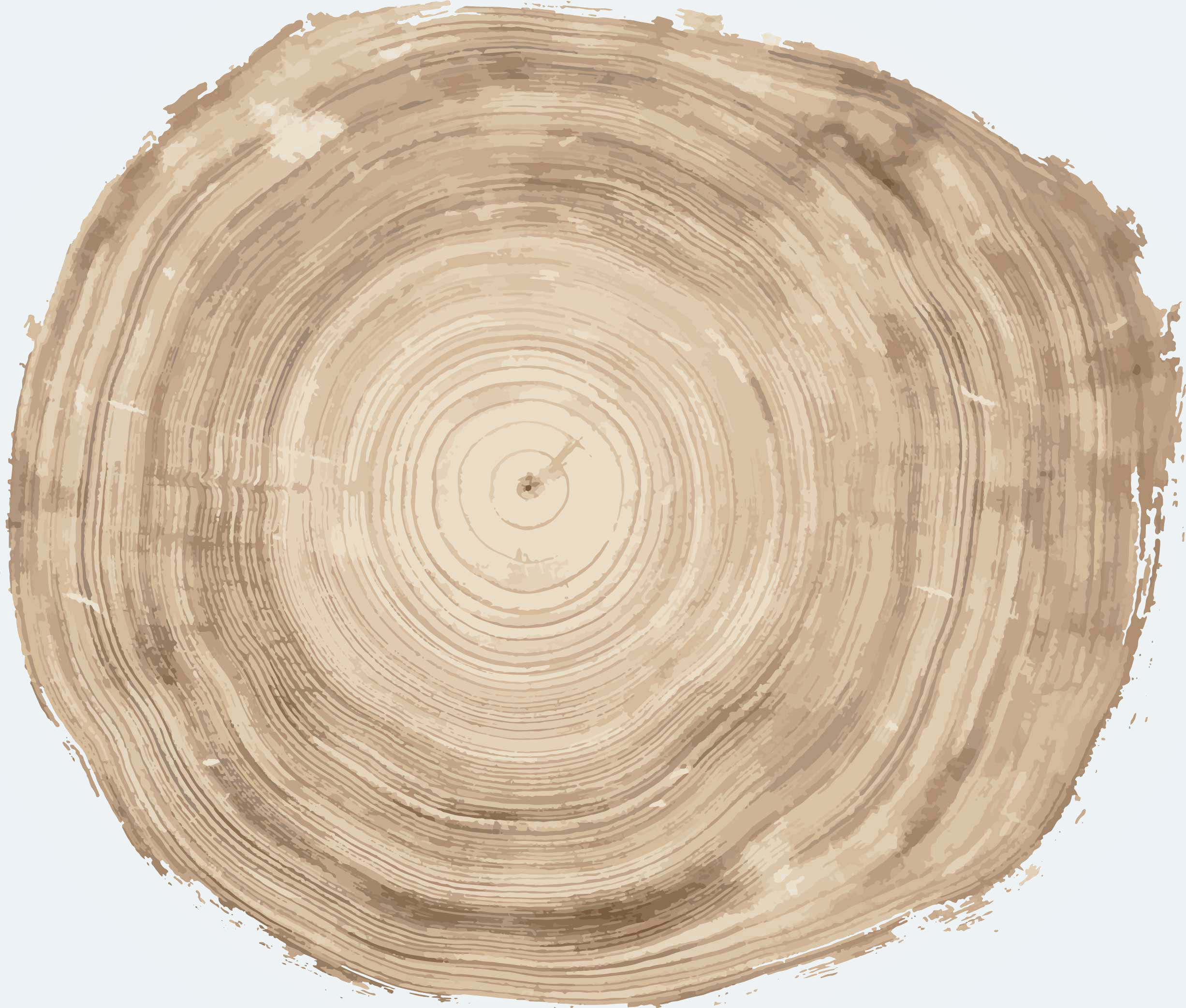 Tree rings. The following links are dates connected to the rings organized non-linearly. Clicking on a date will take you to more information about the date.